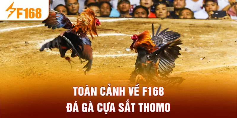 Toàn cảnh về F168 đá gà cựa sắt thomo