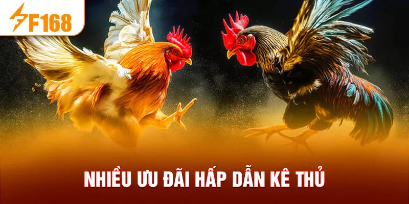 Nhiều ưu đãi hấp dẫn kê thủ