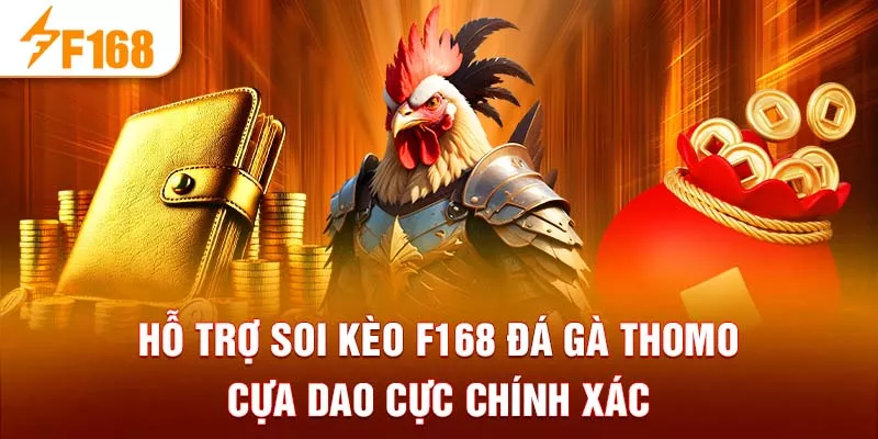 Hỗ trợ soi kèo F168 đá gà Thomo cựa dao cực chính xác